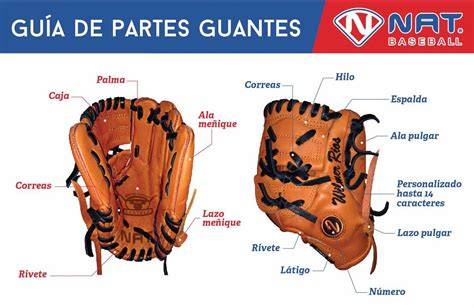 Partes y cortes de un guante de arquero