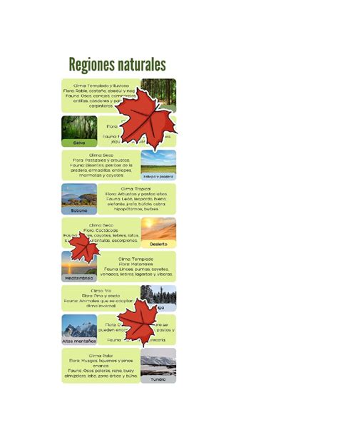 Infografía sobre relieve clima agua y recursos naturales
