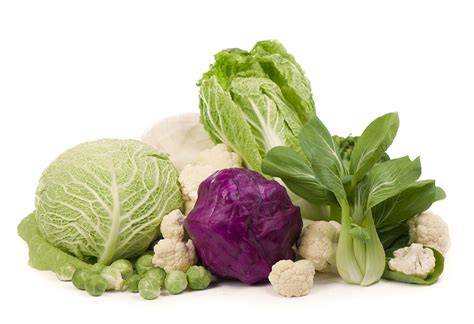 Variedad de coles crucíferas frescas