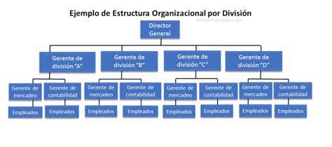 estructura jerárquica de divisiones deportivas