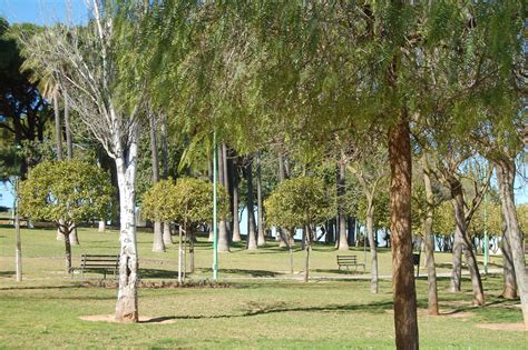 Parque Los Pinos barrio Jordán Cali