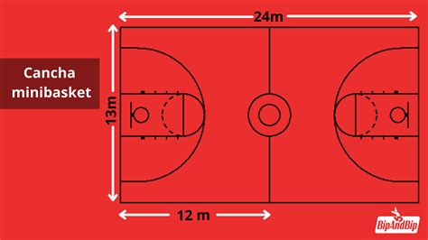 Medidas de pista y canasta de minibasket
