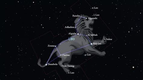 camiseta negra Leo con león y constelación