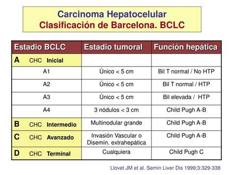 Estadios BCLC del carcinoma hepatocelular