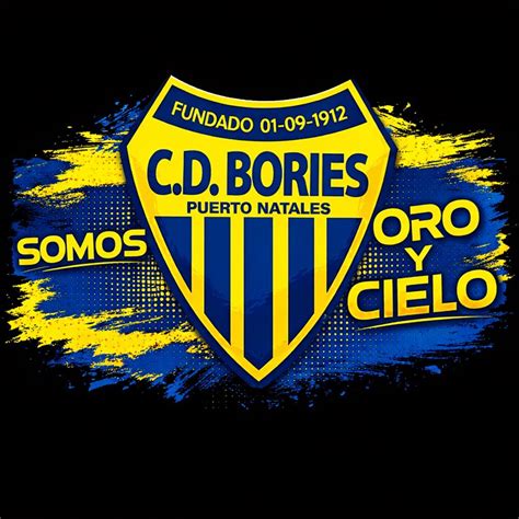 Club Deportivo Bories Puerto Natales estadio