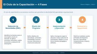 ciclo DNC evaluación desempeño capacitación