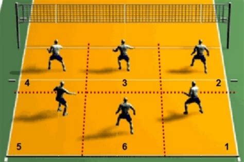 posiciones jugadores cancha voleibol