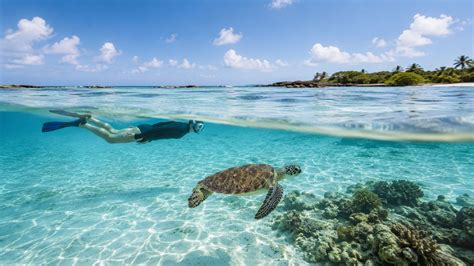 Snorkel en aguas turquesas de Riviera Maya