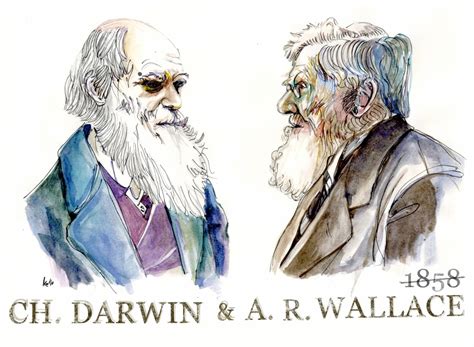Darwin y Wallace en la Sociedad Linneana