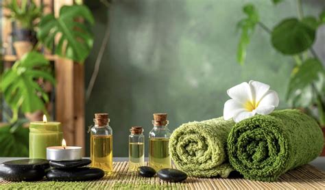 Tratamiento de spa en selva maya