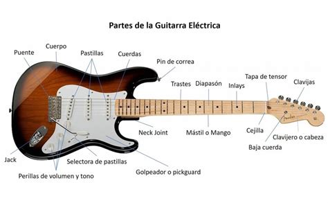 Partes principales de una guitarra Stratocaster