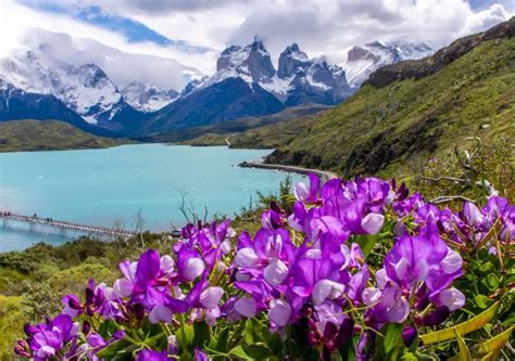 Torres del Paine durante la primavera