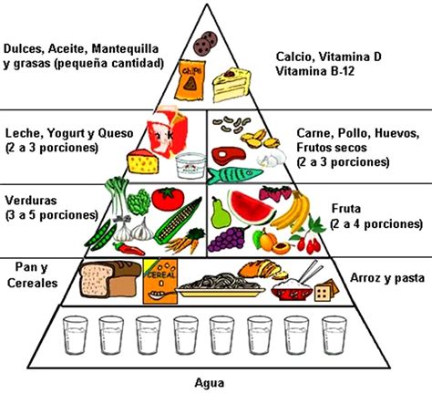 Partes y niveles de la pirámide alimenticia