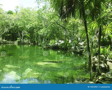 Riviera Maya cenote y selva tropical
