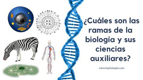 biología y ciencias interrelacionadas