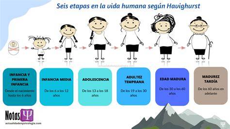 Etapas de la vida humana por edades