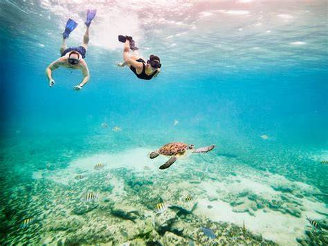 Turismo costero y protección ambiental