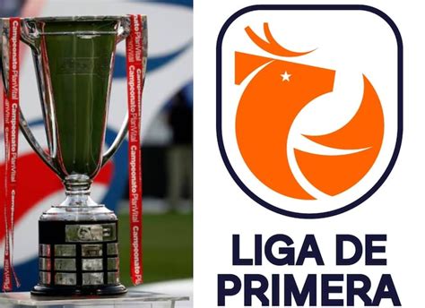 Trofeo Huemul de Plata y Liga de Primera