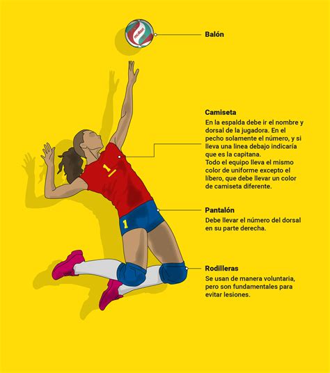 equipamiento básico de voleibol