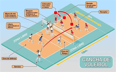 Cancha de voleibol con zona de ataque