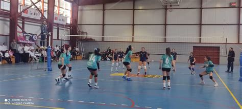 Equipos escolares de vóleibol femenino