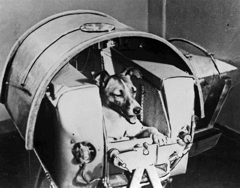 Laika junto al Sputnik 2