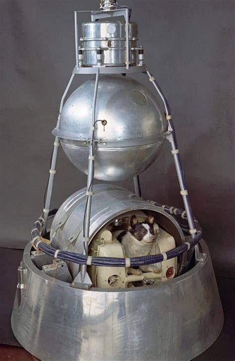 Interior de la cápsula Sputnik 2