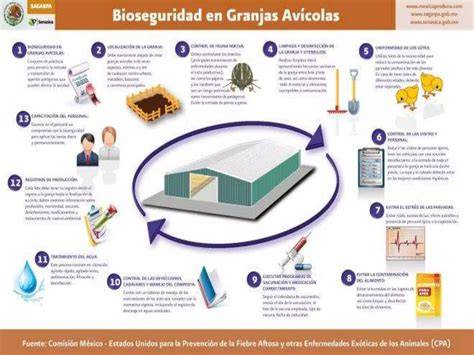 Esquema de bioseguridad en granja avícola