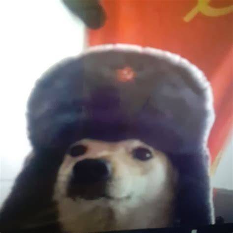 Perro soviético detectando minas