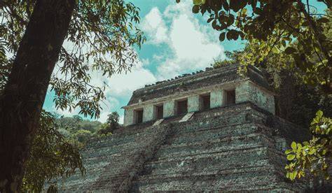 Plantas ceremoniales mayas identificadas por ADN