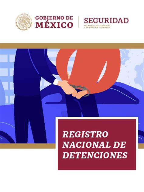 Consulta pública del Registro Nacional de Detenciones