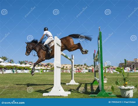 Jinete y caballo en competencia ecuestre chilena