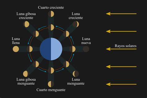 diagrama de las ocho fases lunares