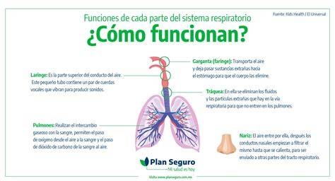 Esquema de funciones del sistema sanitario
