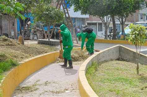 Equipos bancarios compartiendo en áreas verdes