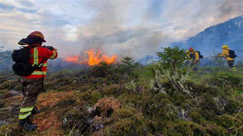 incendios en Biobío y localía