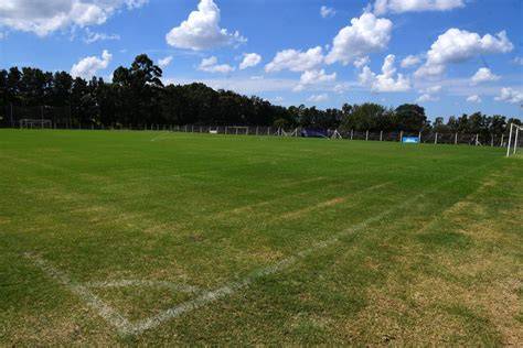 Cancha 2 césped natural Complejo Las Rosas